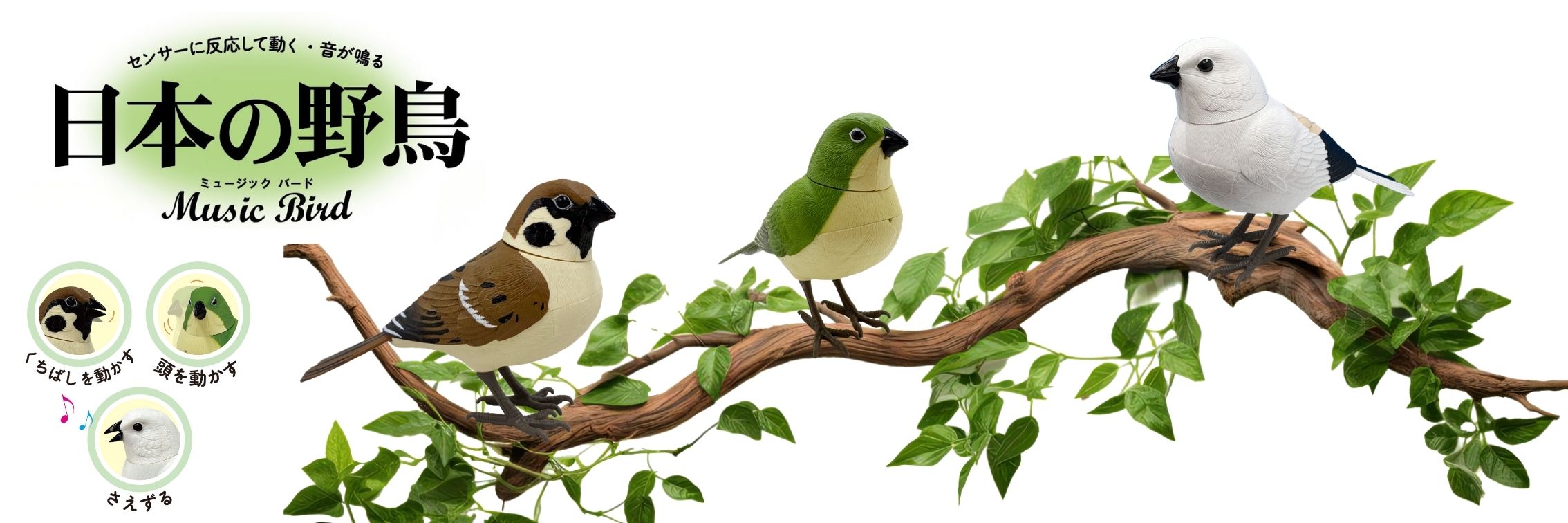 センサーに反応して動く！音が鳴る！「日本の野鳥┃music bird